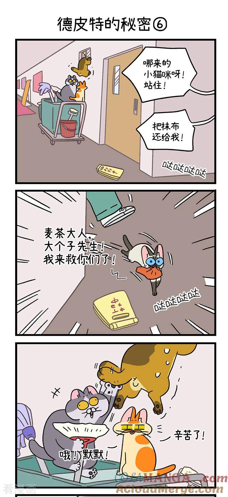 第74话2德皮特的秘密-阿满和麦茶-新漫画 日胖大海寺（第4张）