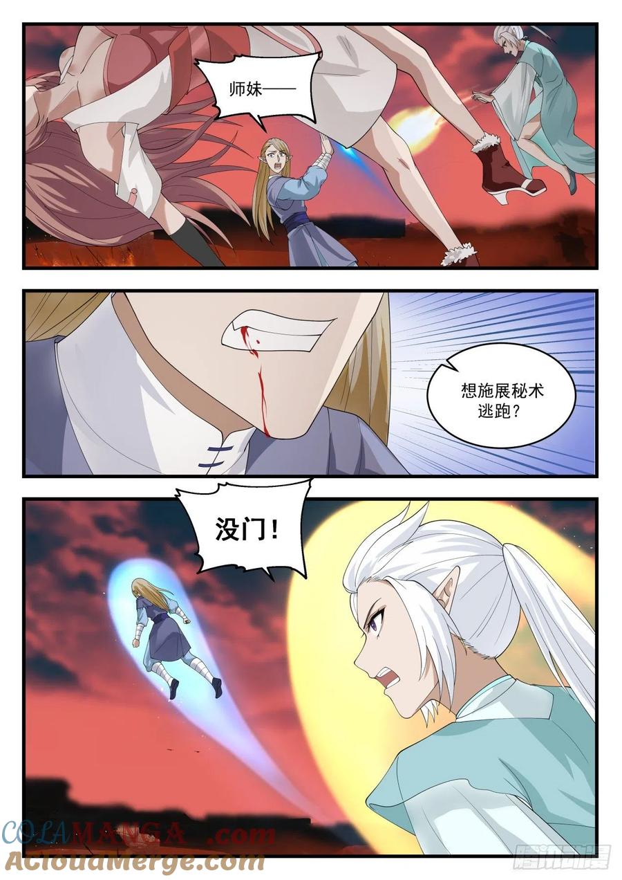 11.jpg