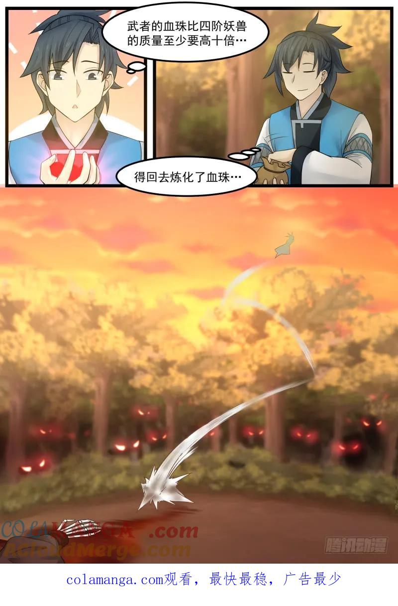 13.jpg