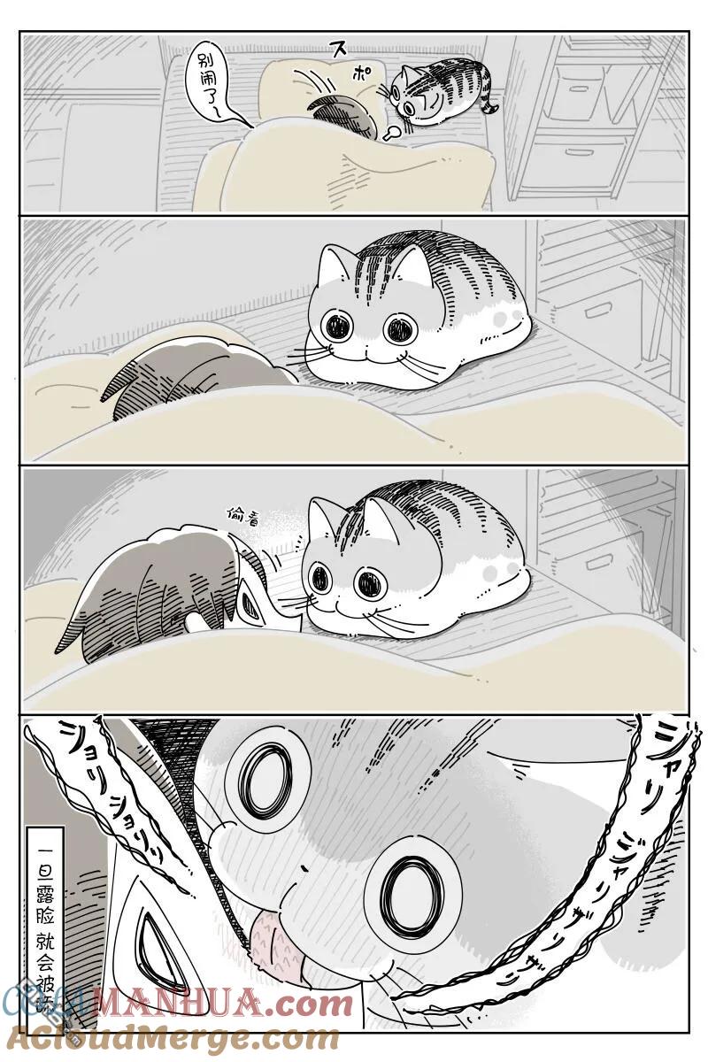第149话-关于养猫我一直是新手-キュルZ（第1张）