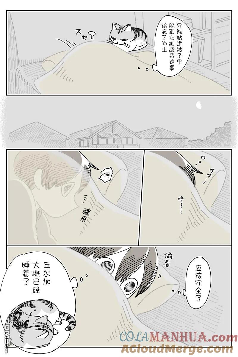 第149话-关于养猫我一直是新手-キュルZ（第2张）