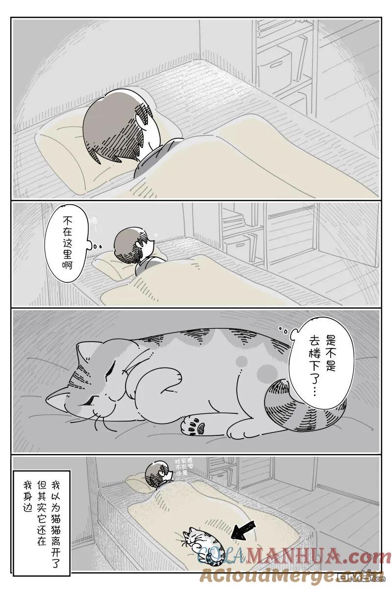 第149话-关于养猫我一直是新手-キュルZ（第3张）
