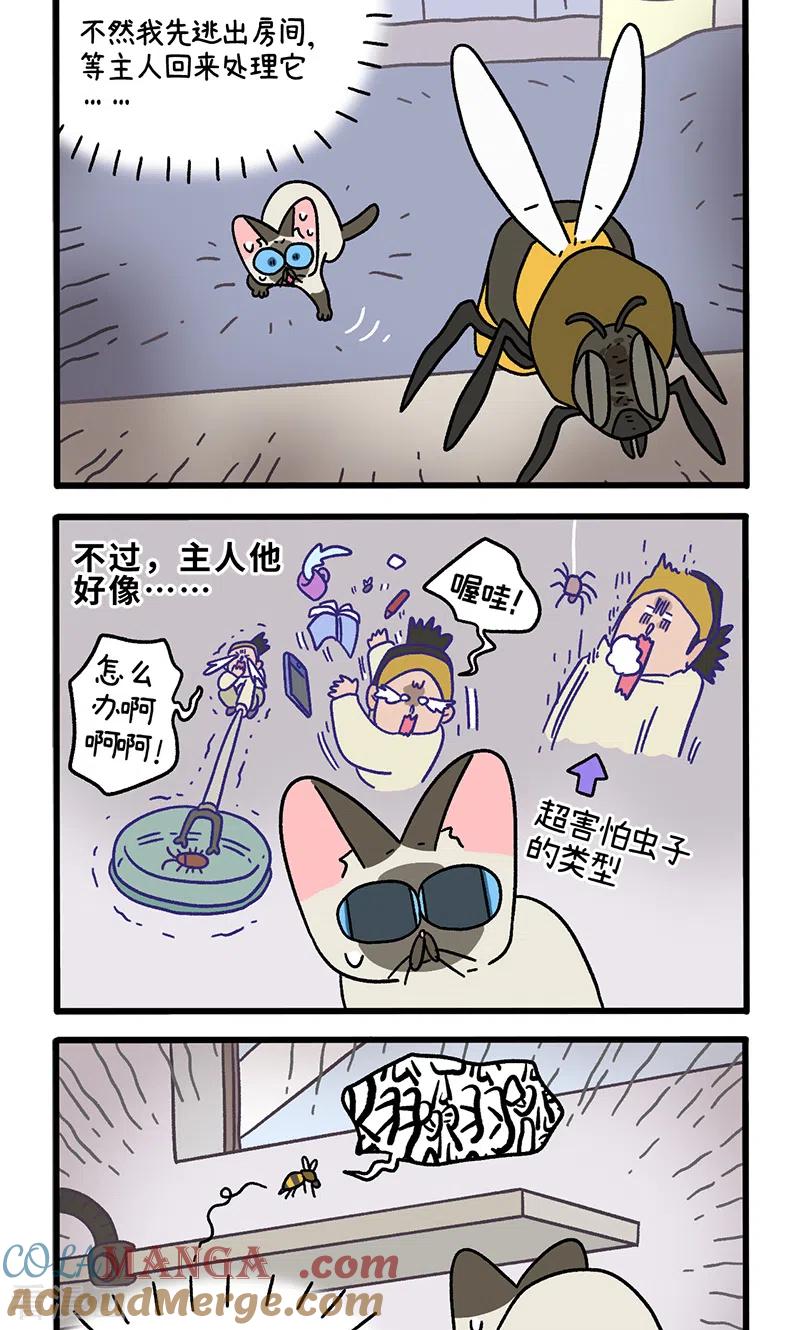 番外17下默默的一天1-阿满和麦茶-新漫画 日胖大海寺（第2张）