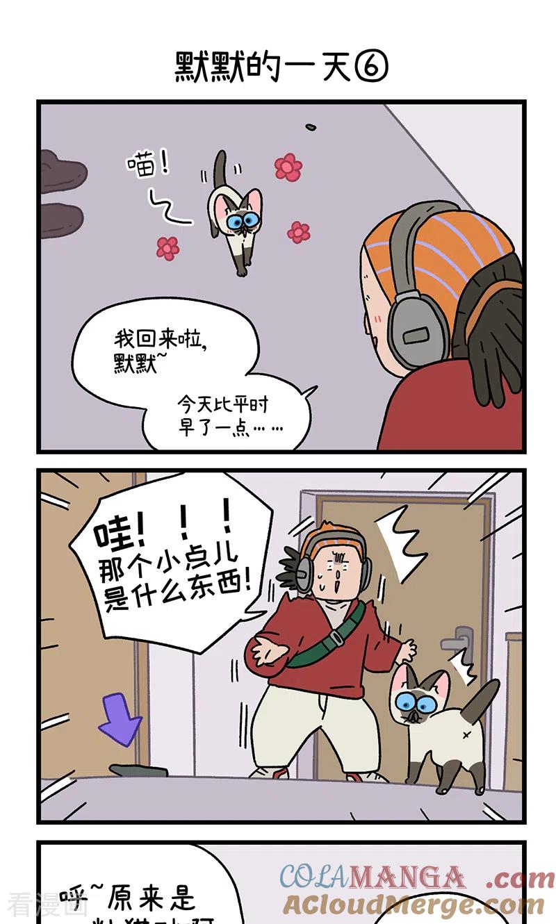 番外17下默默的一天1-阿满和麦茶-新漫画 日胖大海寺（第5张）