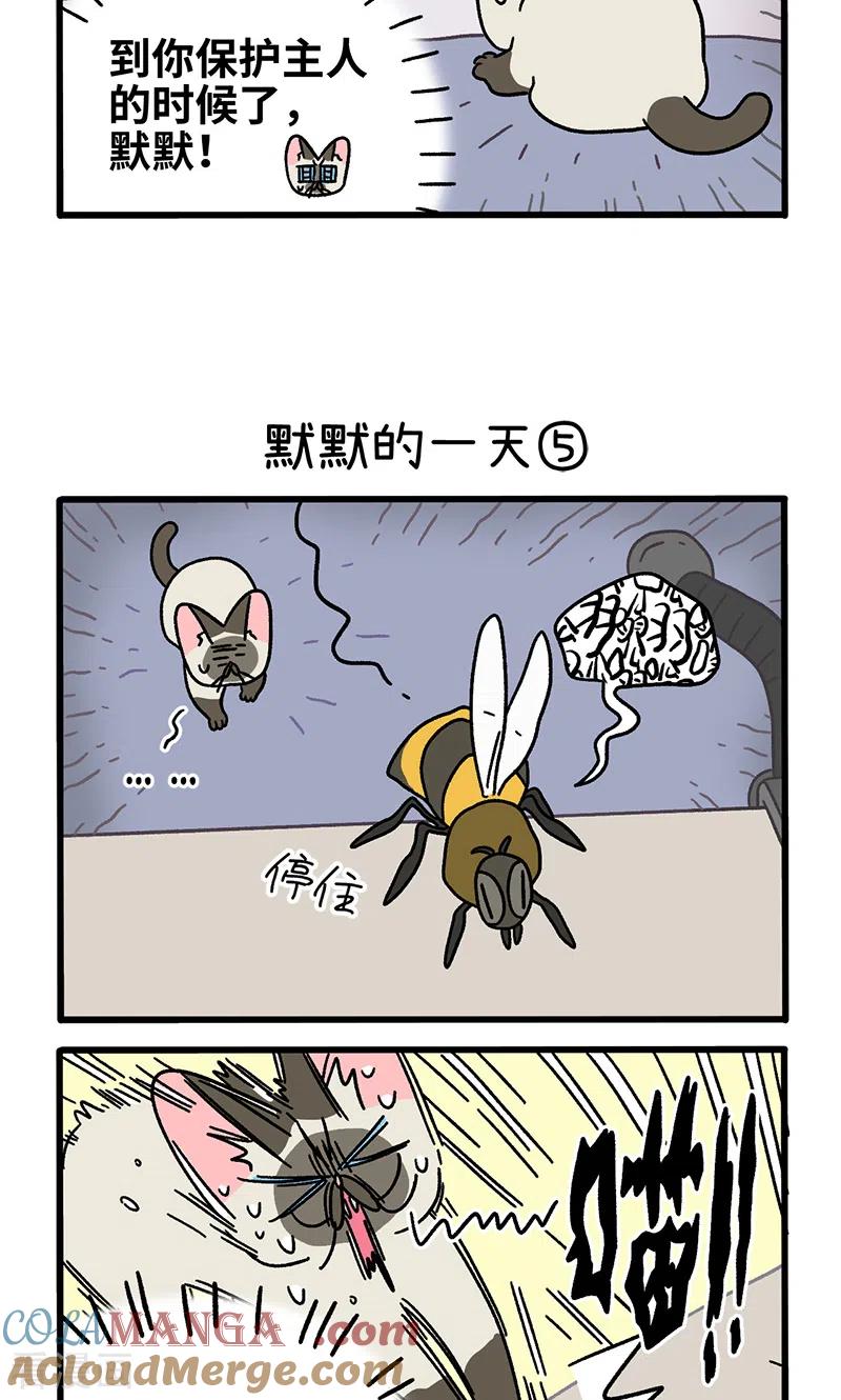 番外17下默默的一天1-阿满和麦茶-新漫画 日胖大海寺（第3张）