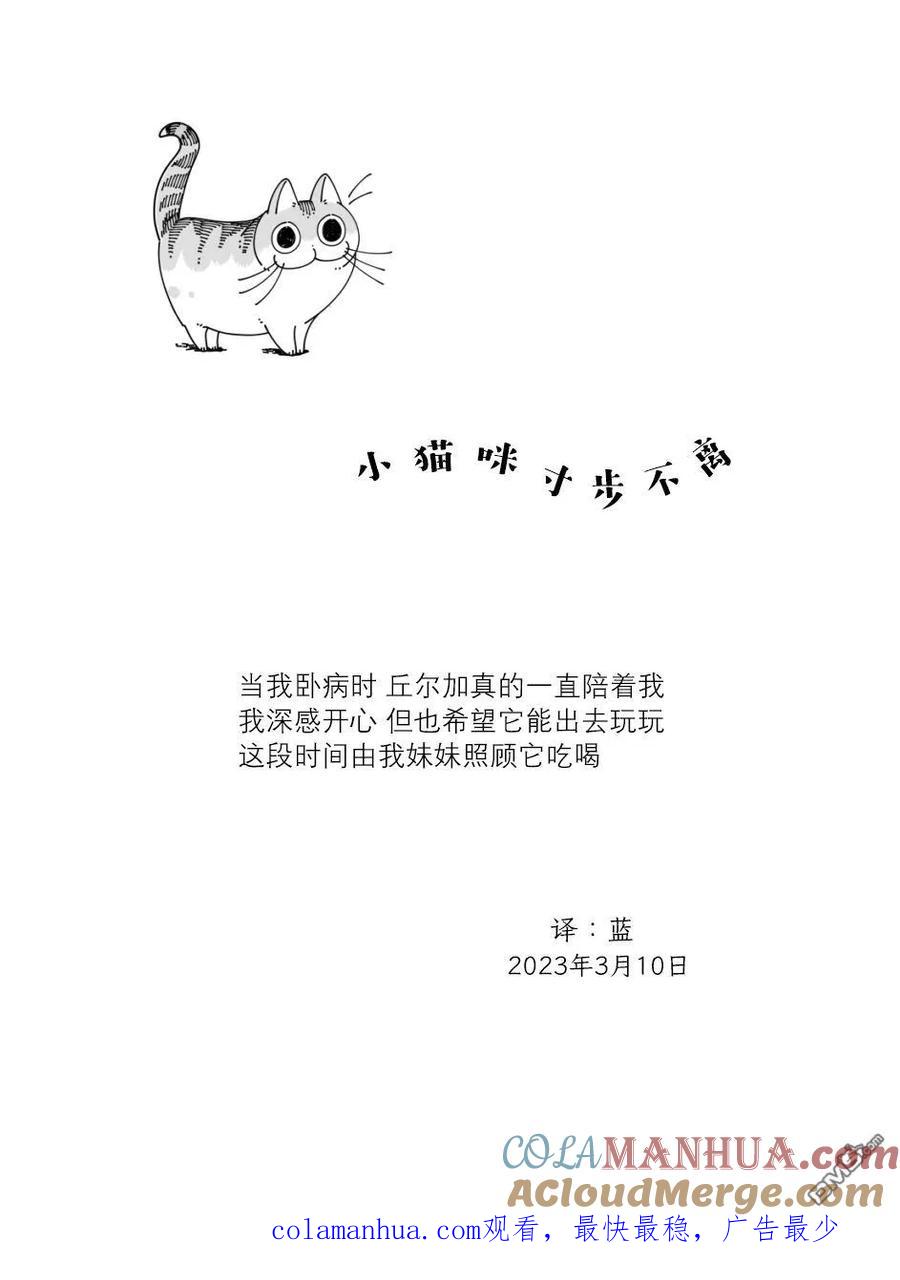 第157话-关于养猫我一直是新手-キュルZ（第3张）