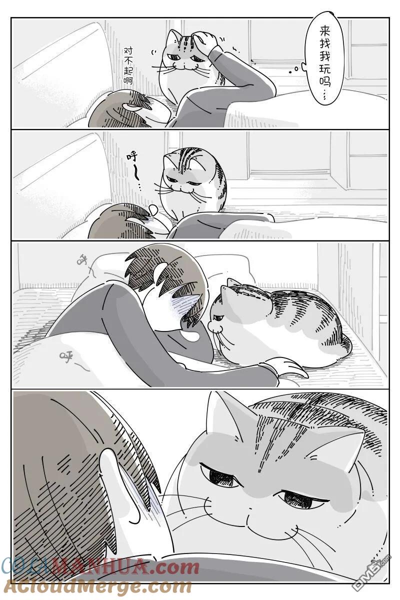 第157话-关于养猫我一直是新手-キュルZ（第1张）