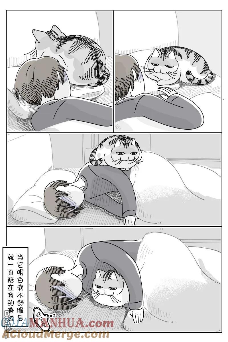 第157话-关于养猫我一直是新手-キュルZ（第2张）