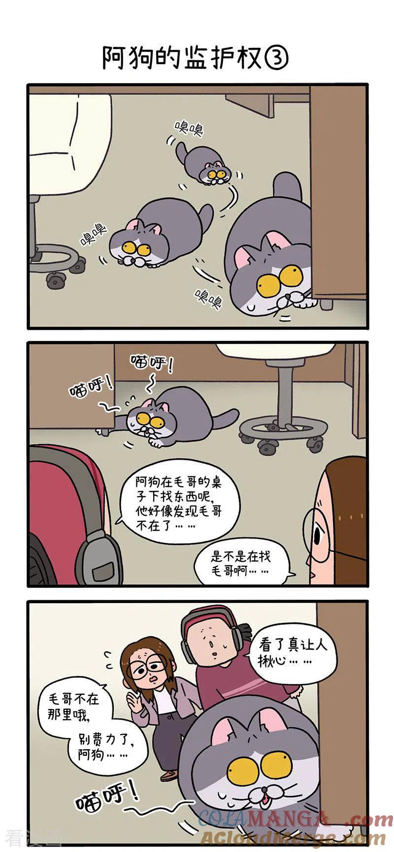 第88话1阿狗的监护权-阿满和麦茶-新漫画 日胖大海寺（第4张）