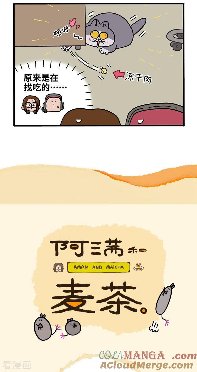 第88话1阿狗的监护权-阿满和麦茶-新漫画 日胖大海寺（第5张）