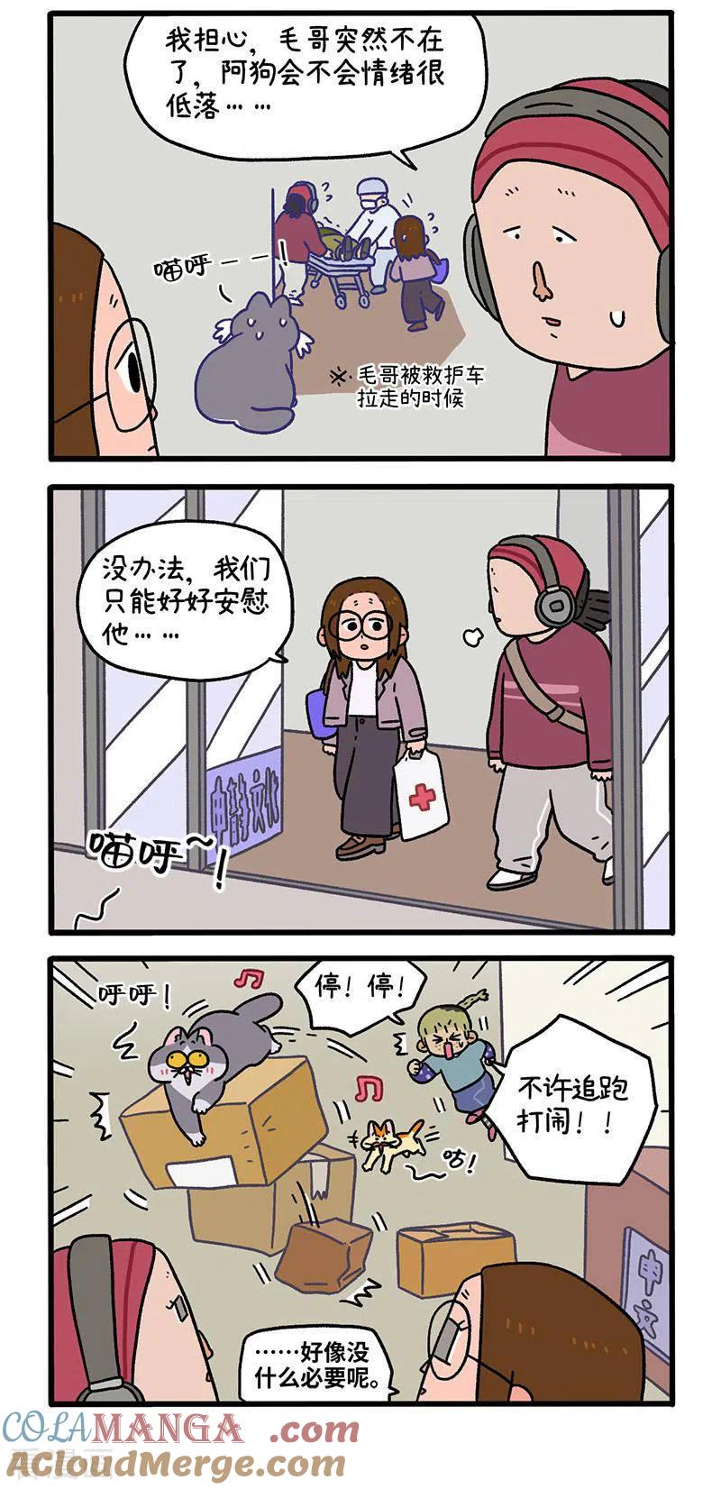 第88话1阿狗的监护权-阿满和麦茶-新漫画 日胖大海寺（第3张）