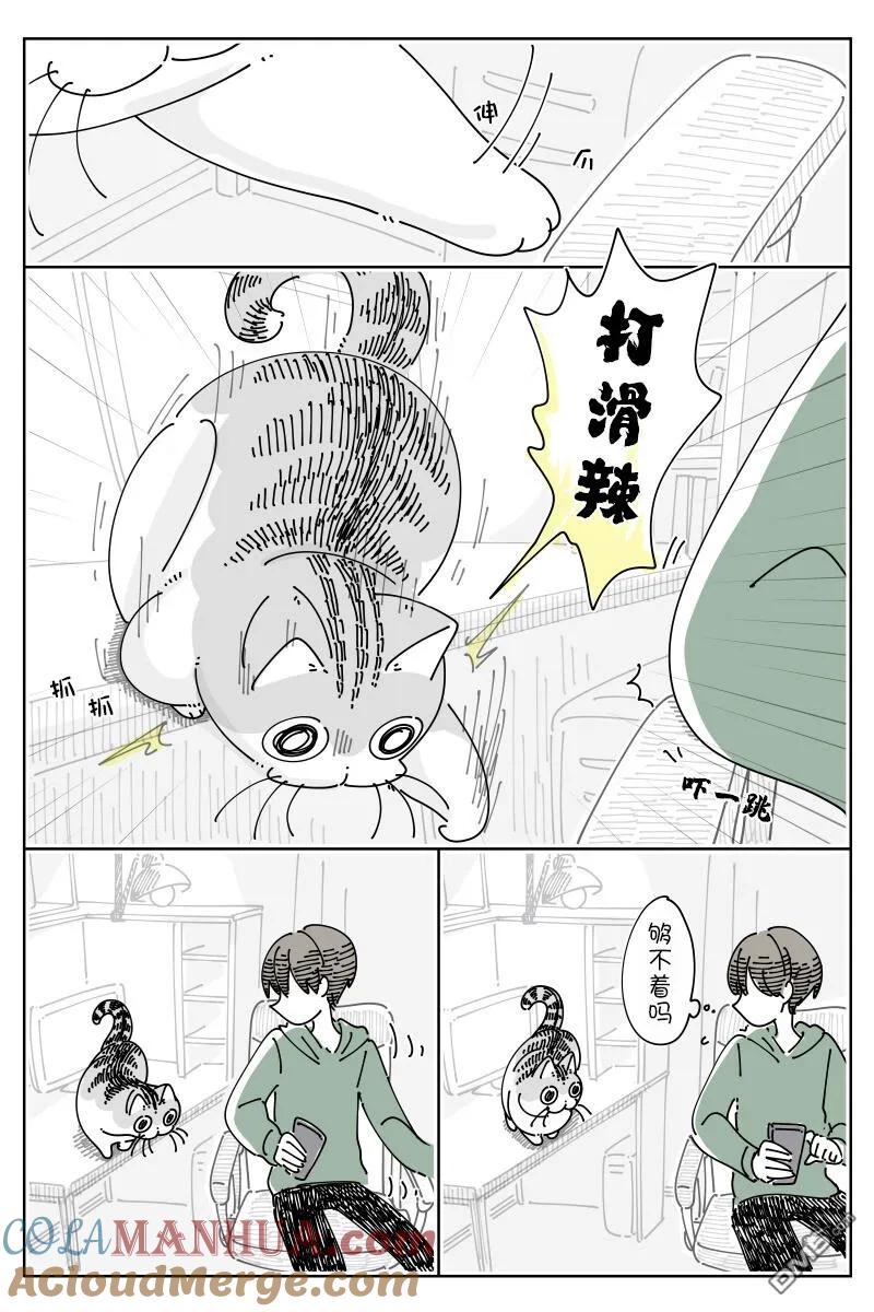 第165话-关于养猫我一直是新手-キュルZ（第1张）