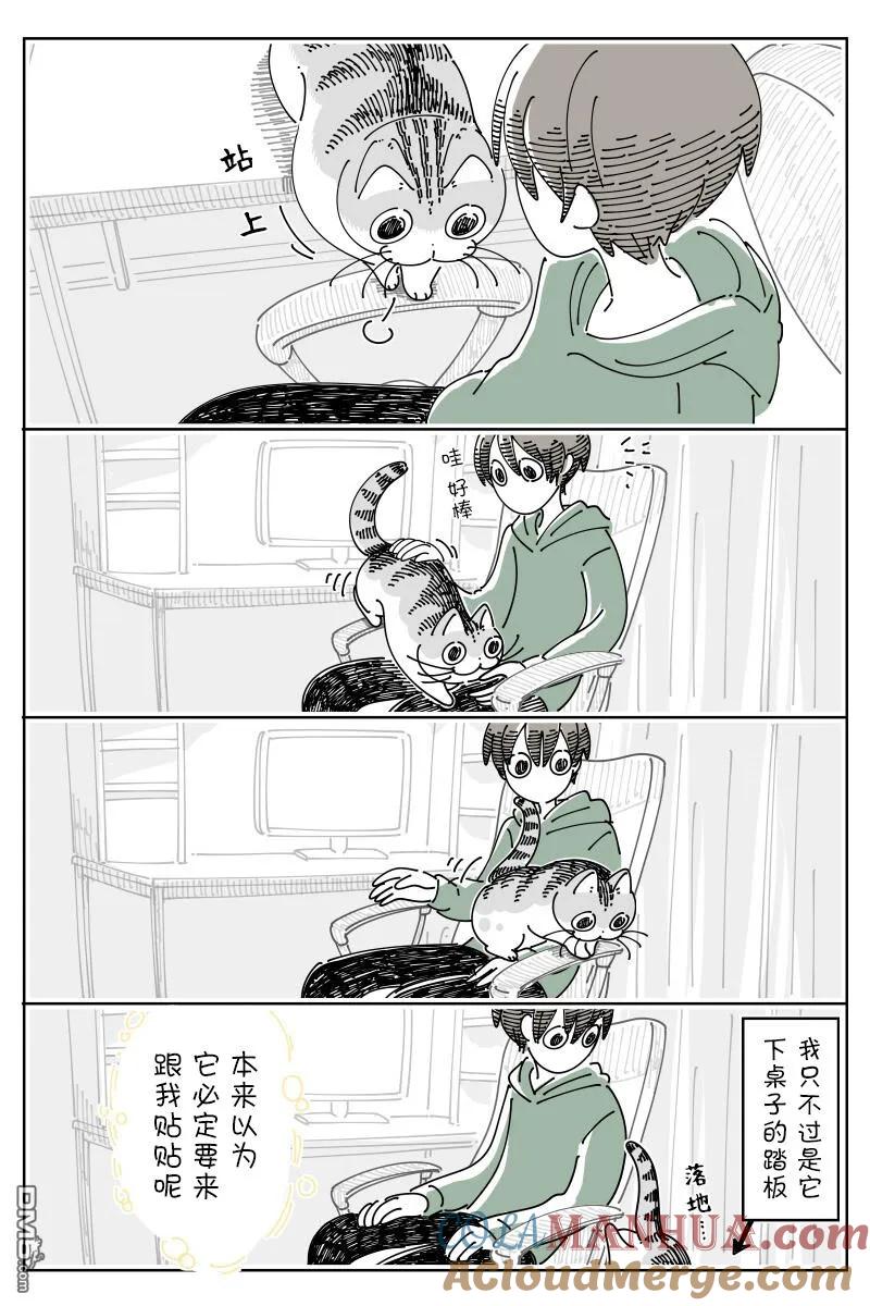 第165话-关于养猫我一直是新手-キュルZ（第2张）
