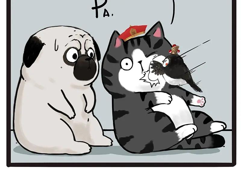 54.jpg