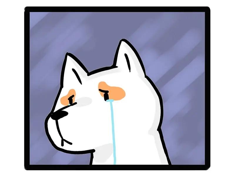 63.jpg
