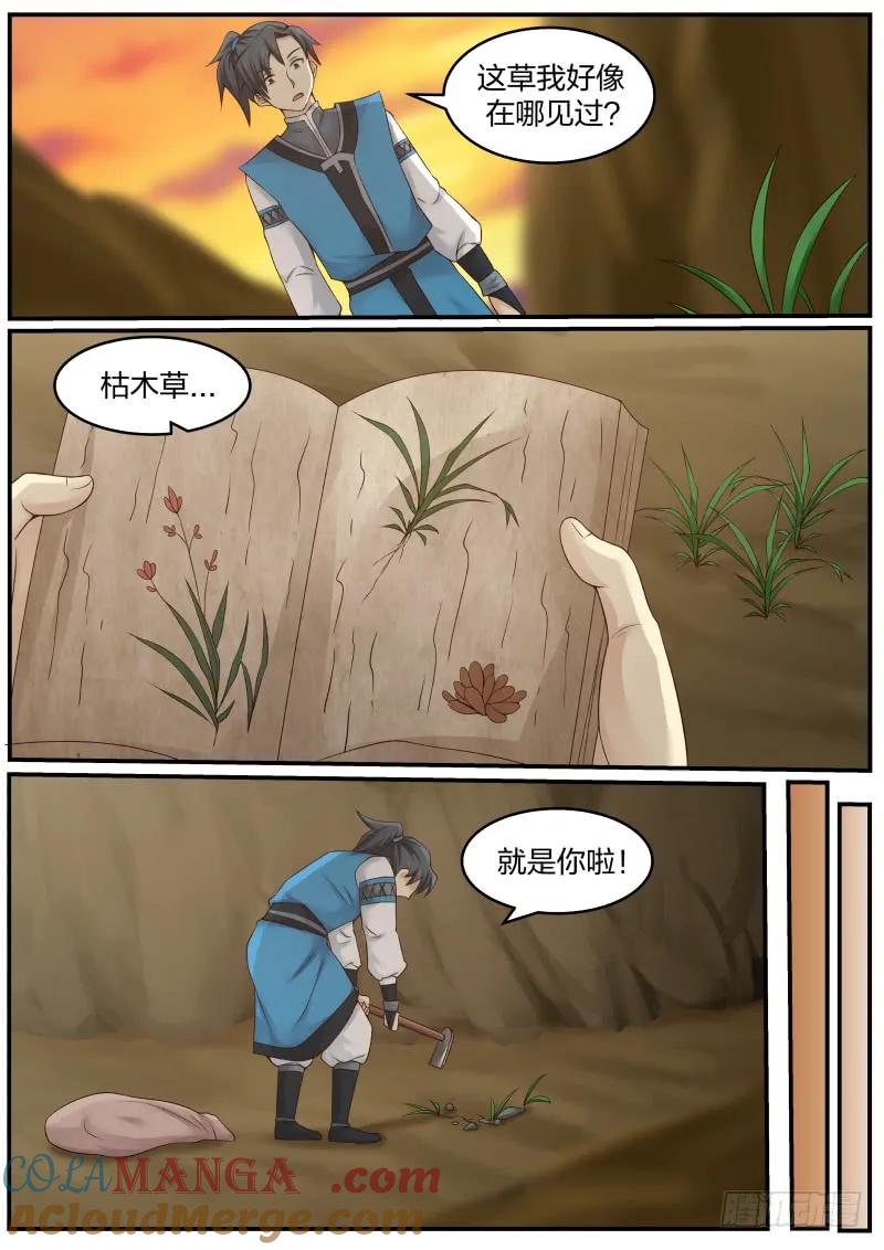 13.jpg