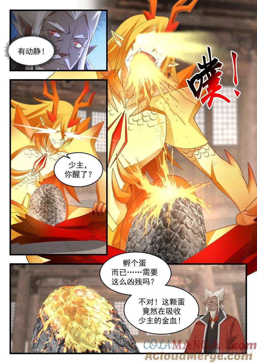 5.jpg