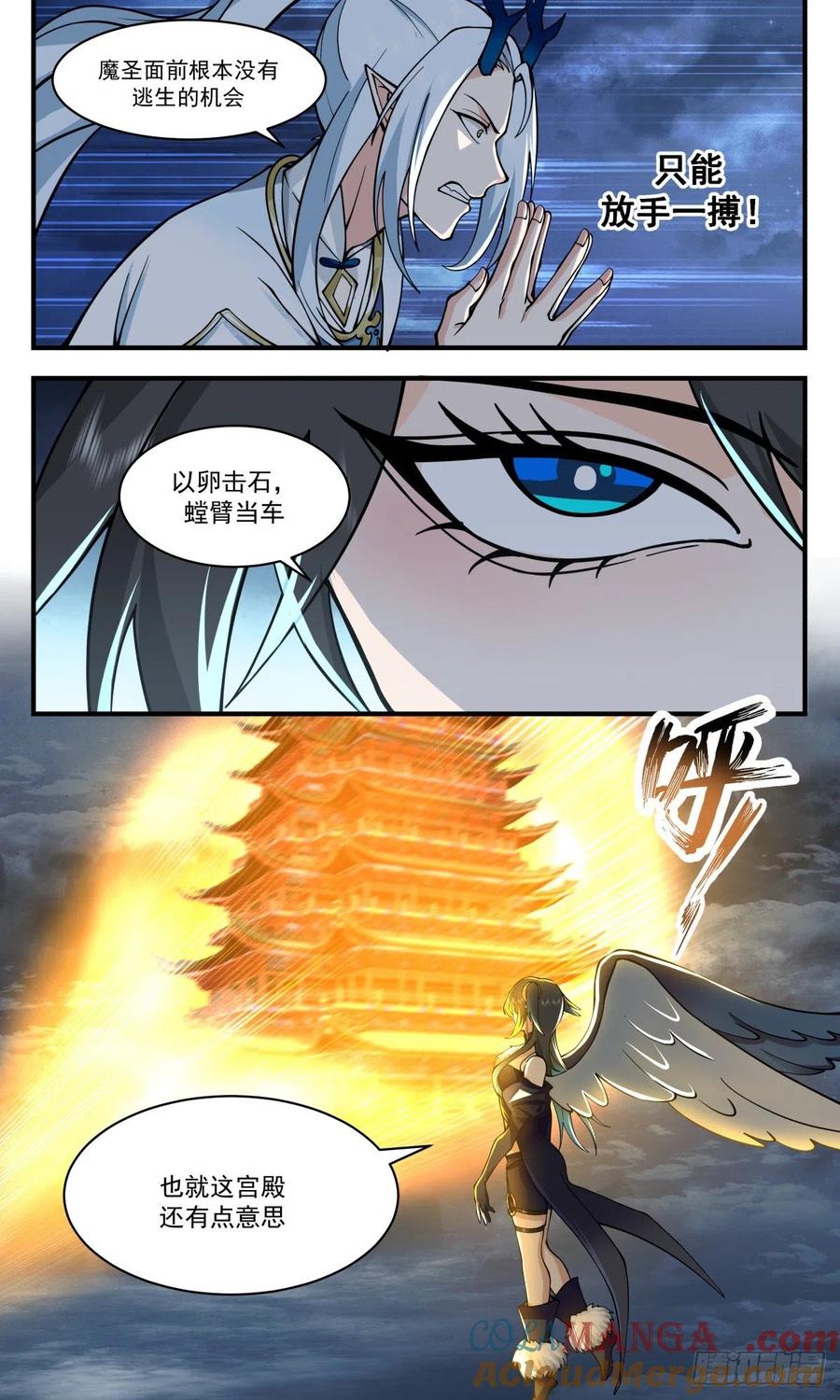 12.jpg