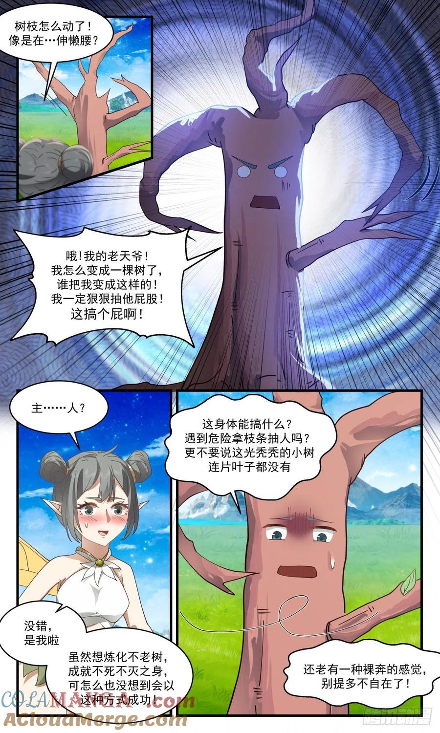 12.jpg