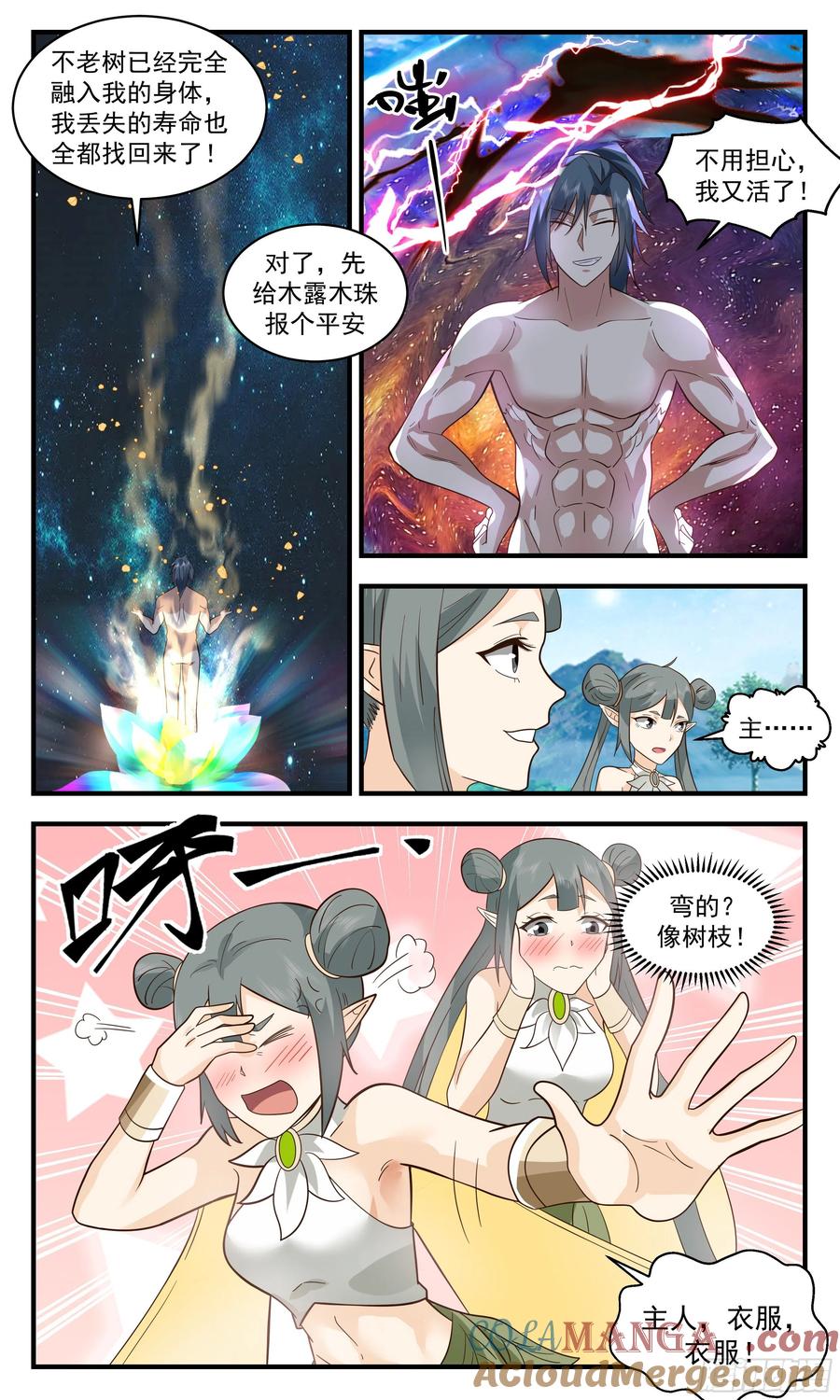6.jpg
