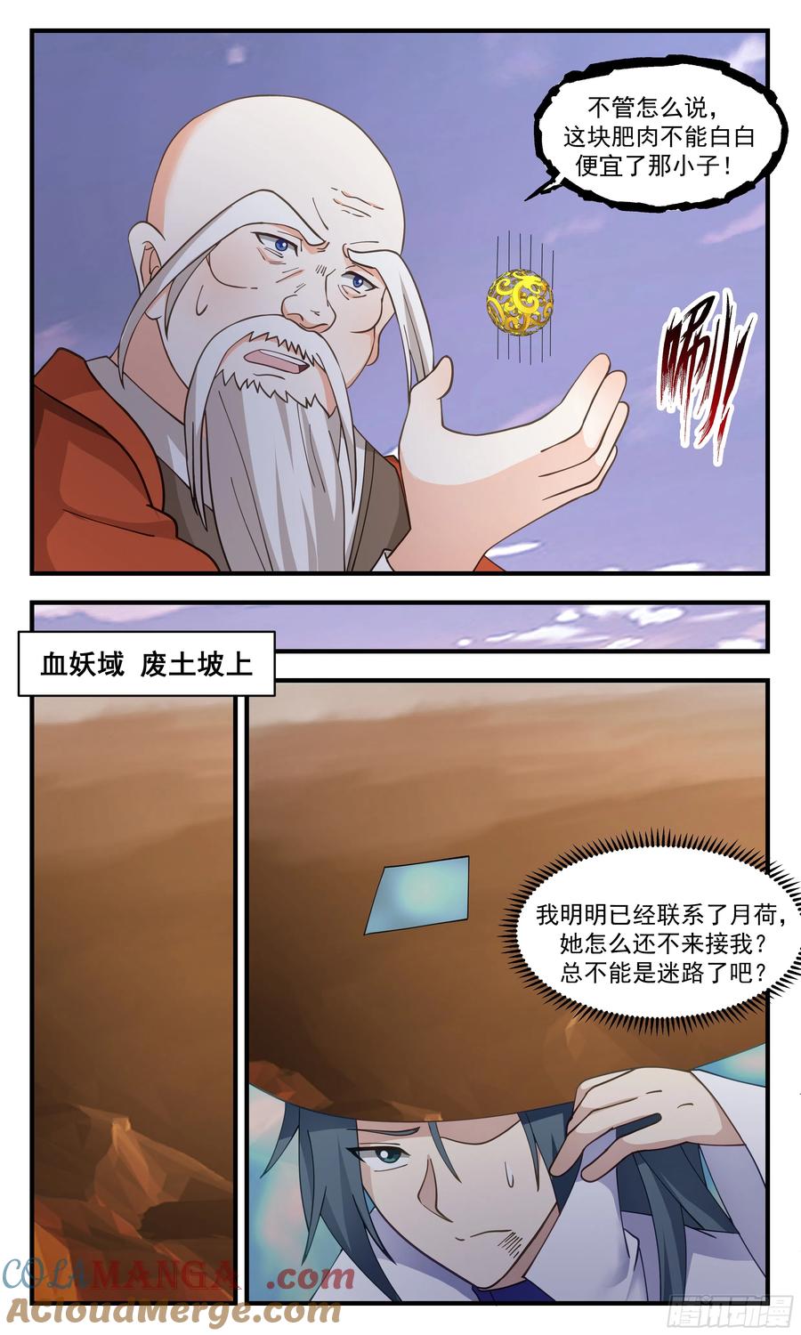 11.jpg