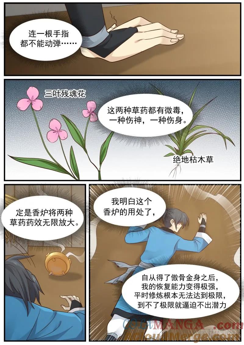 5.jpg