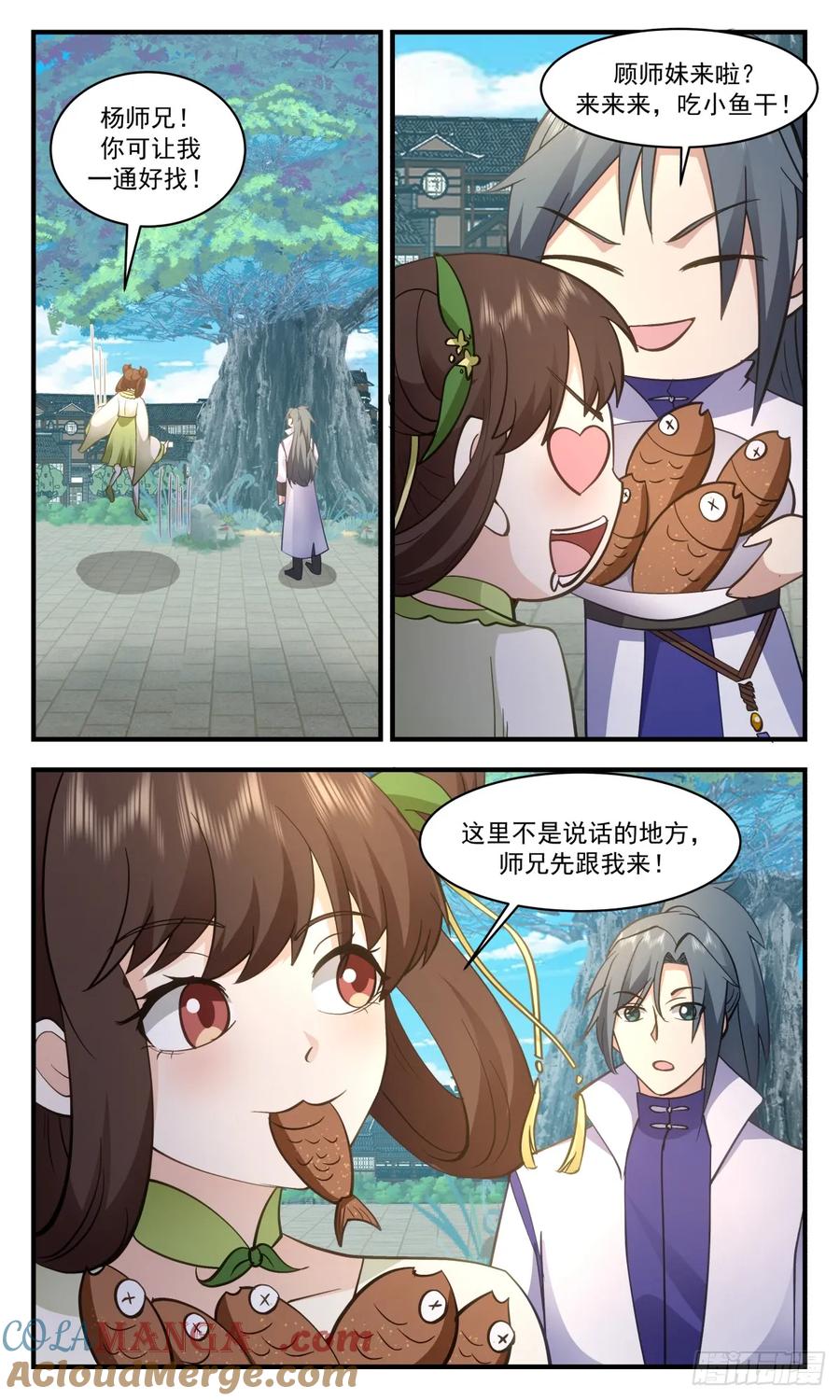 11.jpg