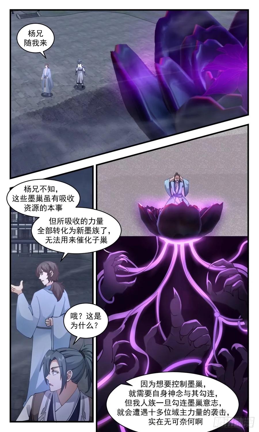 12.jpg