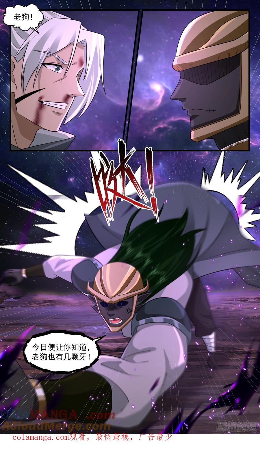 13.jpg