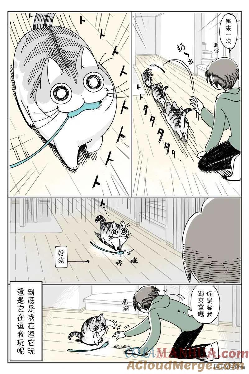 第42话-关于养猫我一直是新手-キュルZ（第2张）