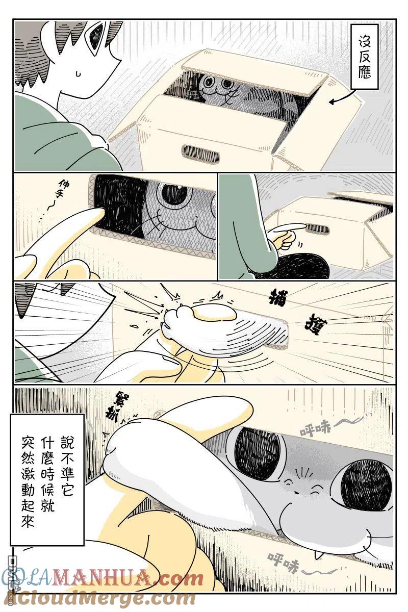 第53话-关于养猫我一直是新手-キュルZ（第1张）