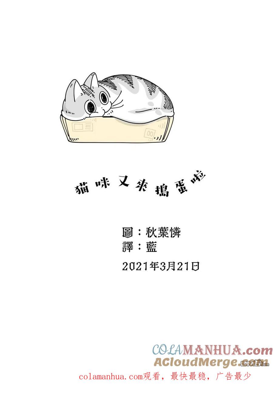 第53话-关于养猫我一直是新手-キュルZ（第2张）