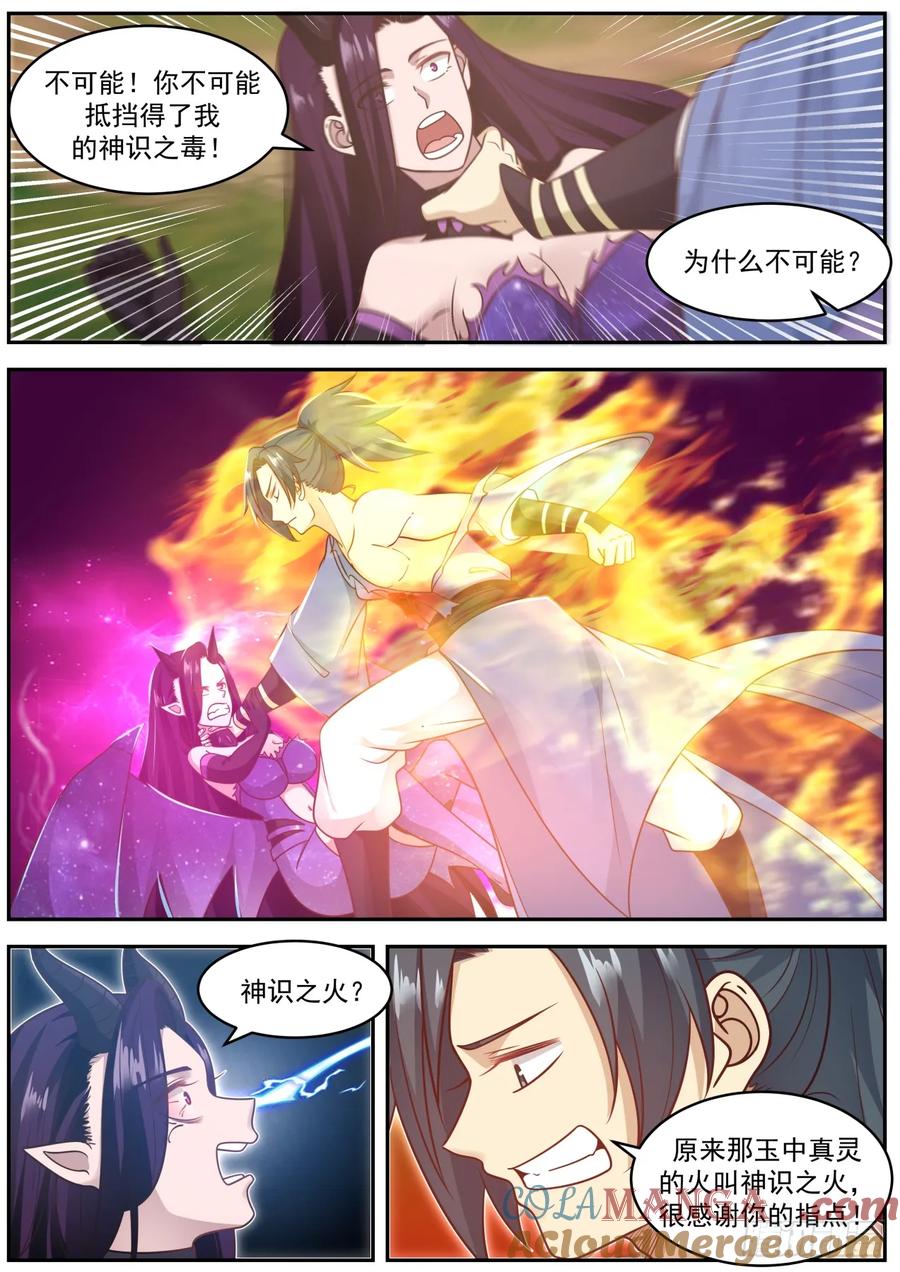 5.jpg