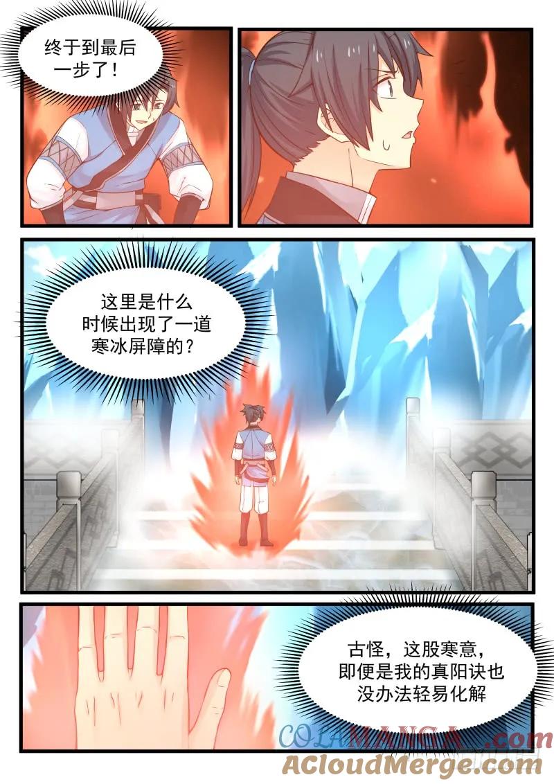 5.jpg