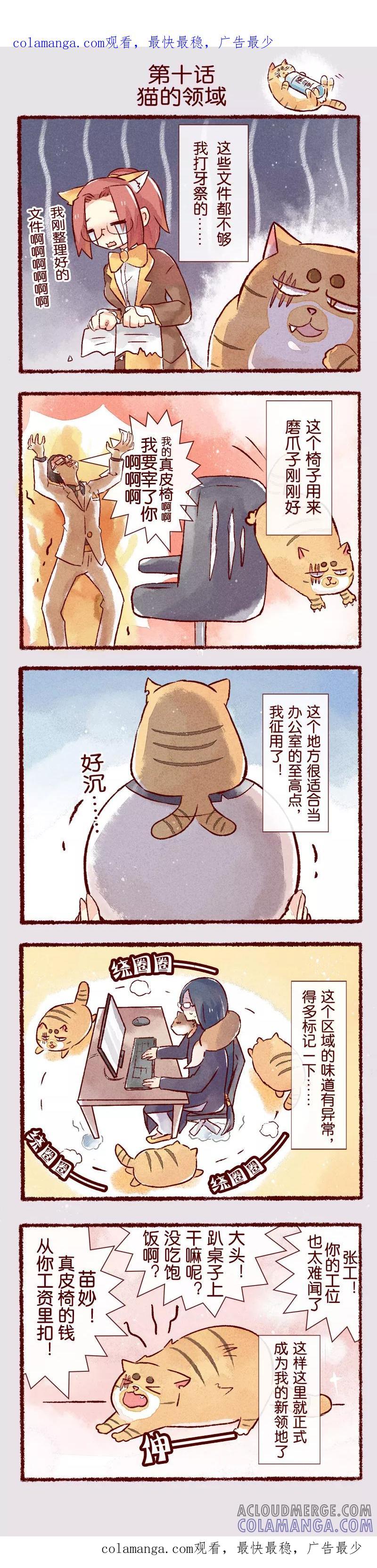 第10话猫的领域-吾名社会黄-柏岩文化（第1张）