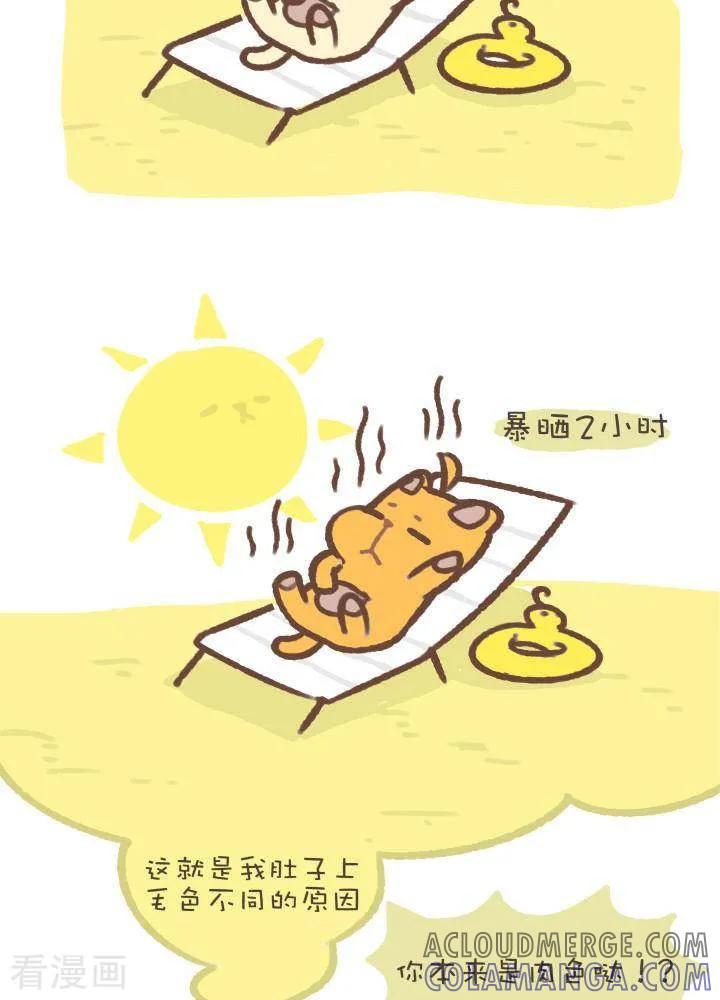 一百零四话造型-抖抖村-ddm大王（第2张）