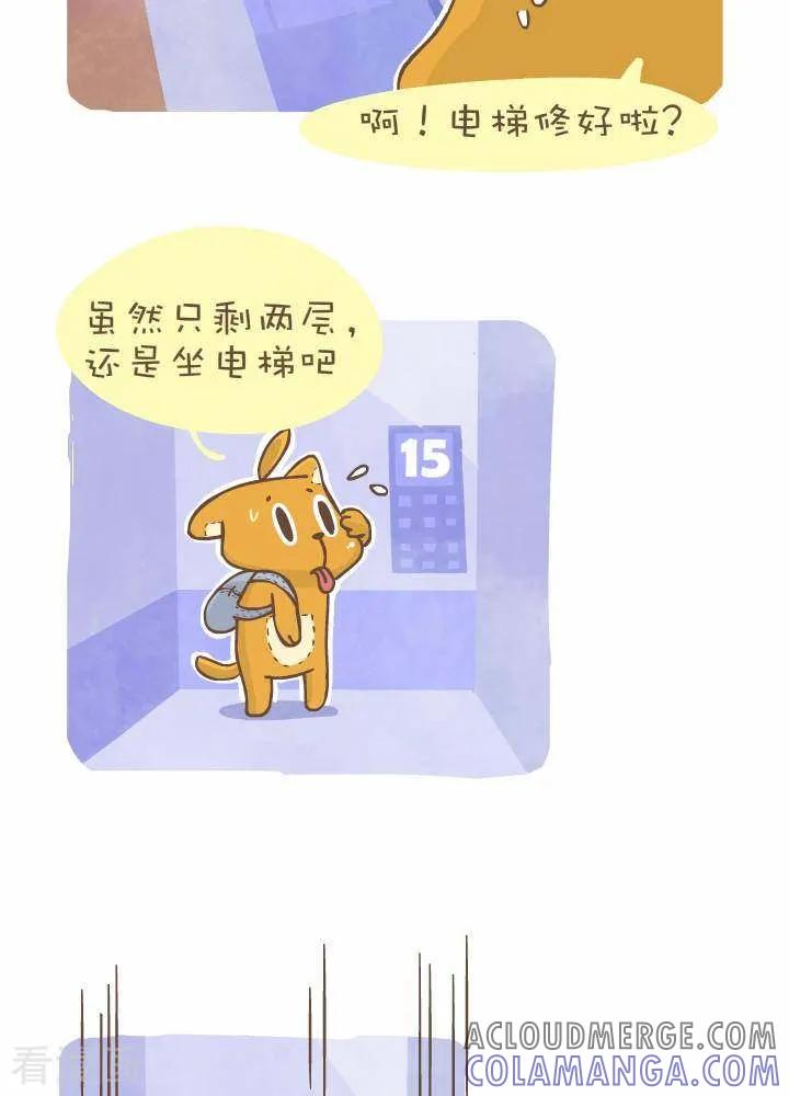 一百一十五话电梯-抖抖村-ddm大王（第4张）