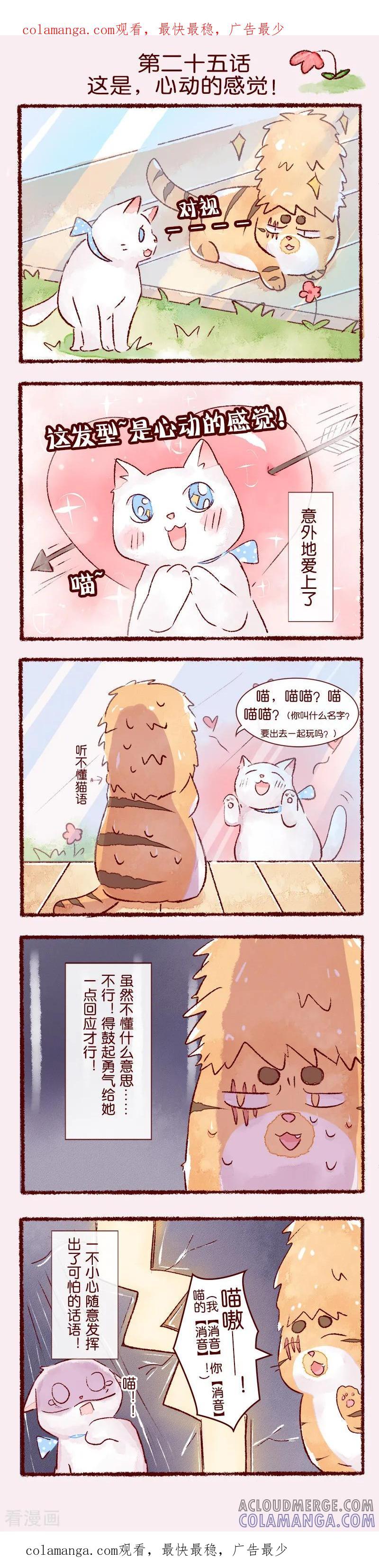 第25话这是，心动的感觉！-吾名社会黄-柏岩文化（第1张）