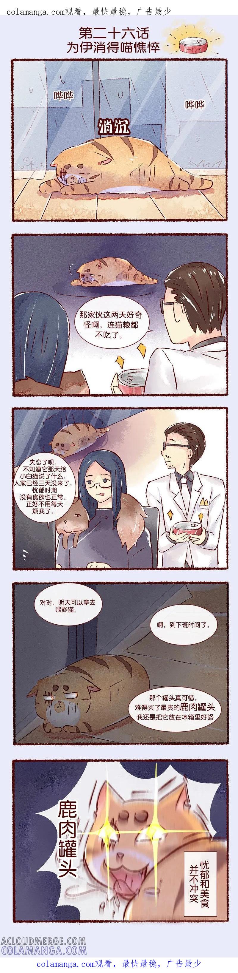 第26话为伊消得喵憔悴-吾名社会黄-柏岩文化（第1张）