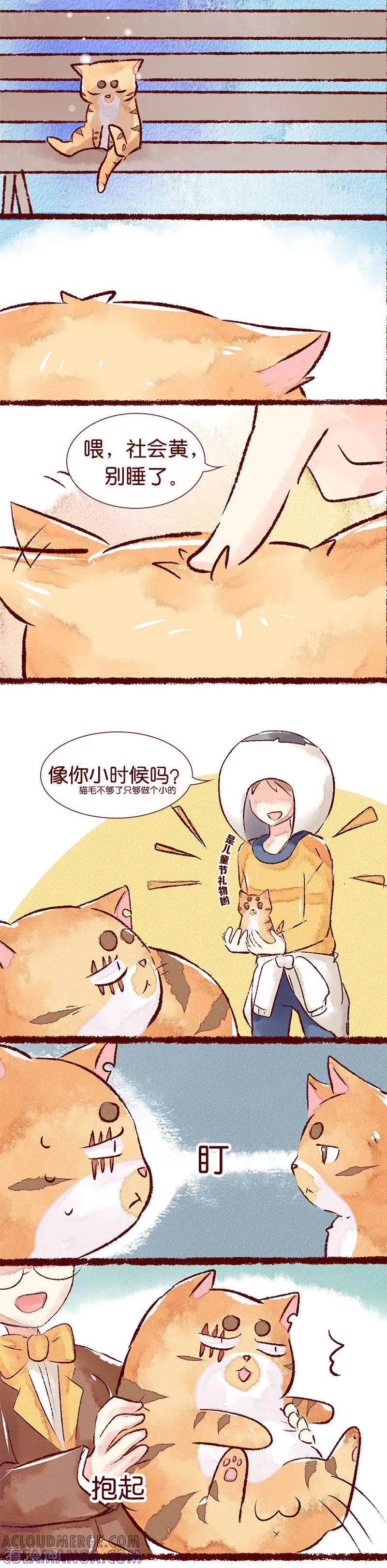 儿童节特别篇记忆碎片-吾名社会黄-柏岩文化（第4张）