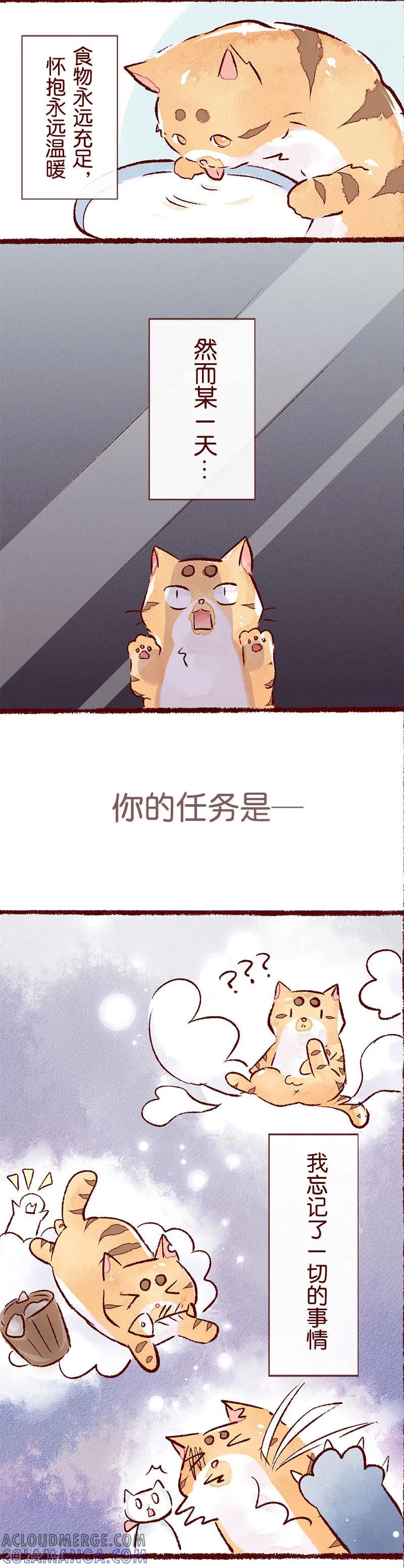 儿童节特别篇记忆碎片-吾名社会黄-柏岩文化（第2张）