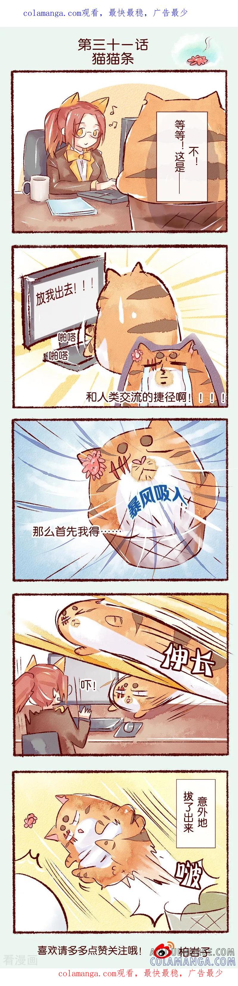 第31话猫猫条-吾名社会黄-柏岩文化（第1张）