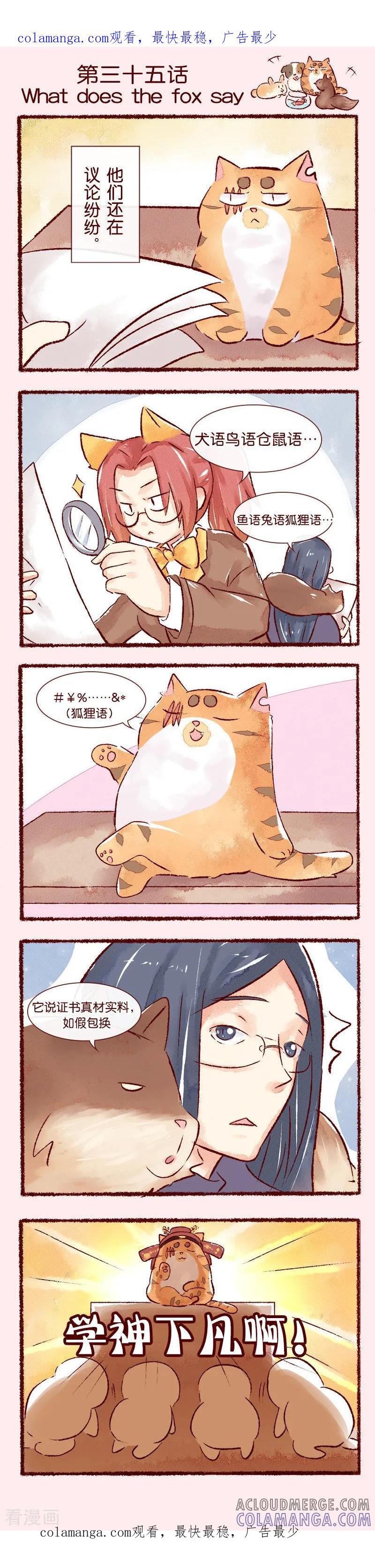 第35话Whatdoesthefoxsay-吾名社会黄-柏岩文化（第1张）