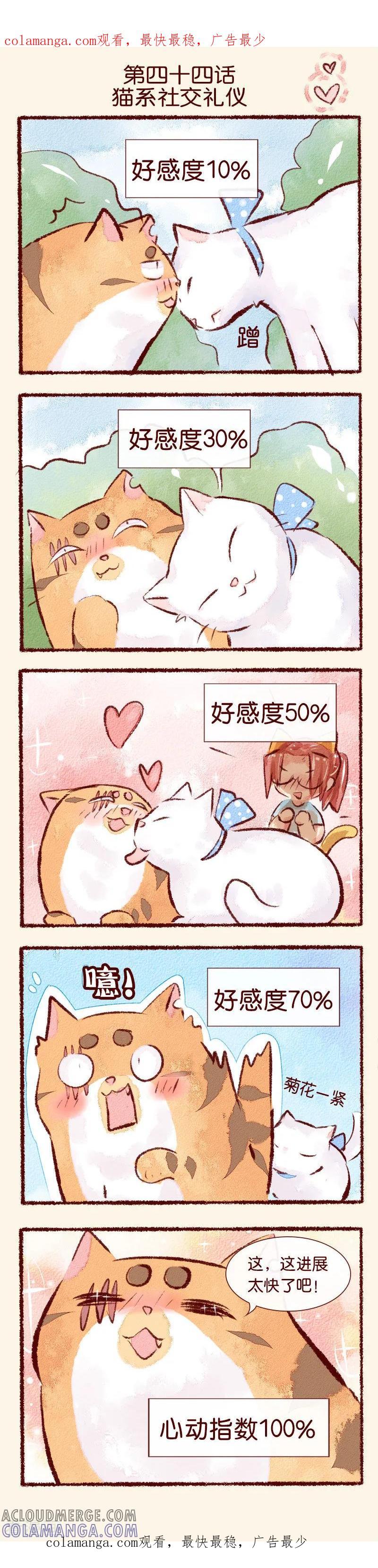 第44话猫系社交礼仪-吾名社会黄-柏岩文化（第1张）