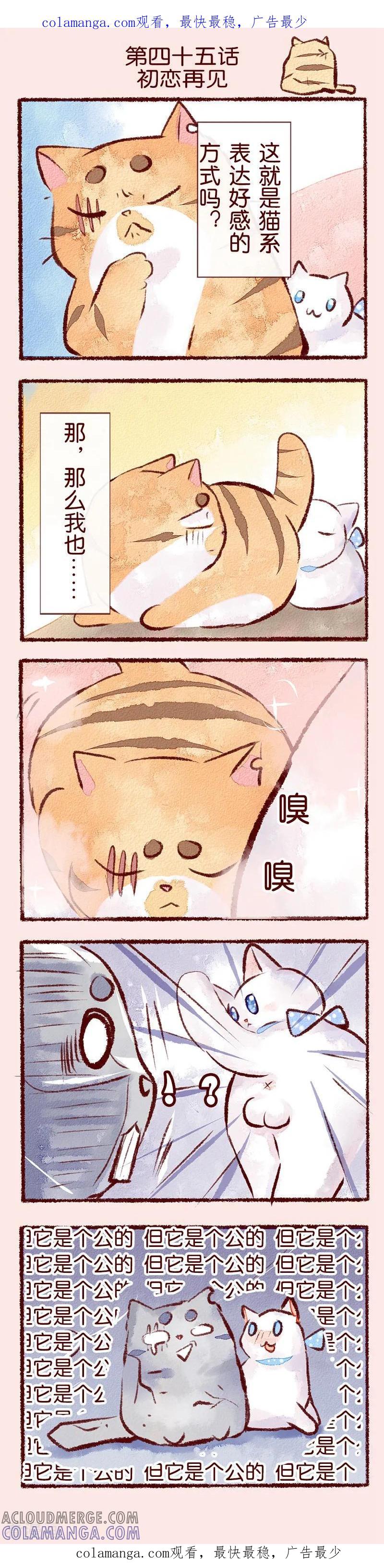 第45话初恋再见-吾名社会黄-柏岩文化（第1张）