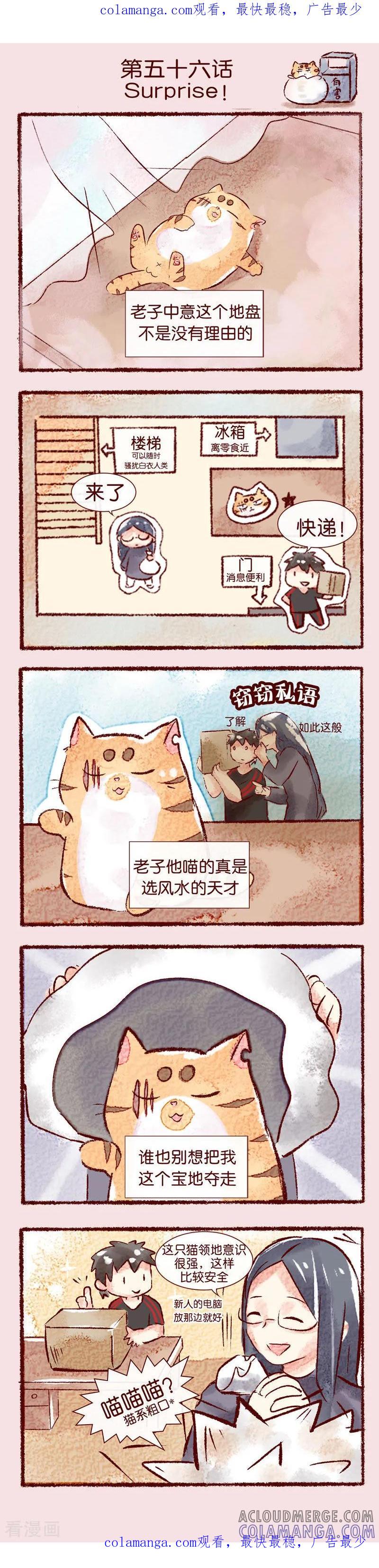 第56话Surprise！-吾名社会黄-柏岩文化（第1张）