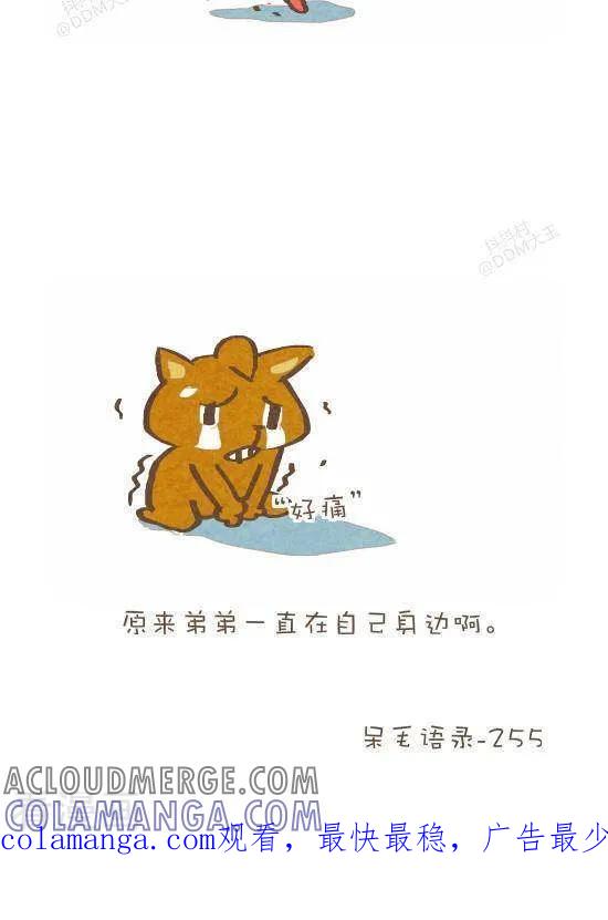 六十话找弟弟-抖抖村-ddm大王（第4张）