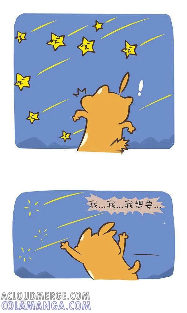 七十二话流星-抖抖村-ddm大王（第3张）