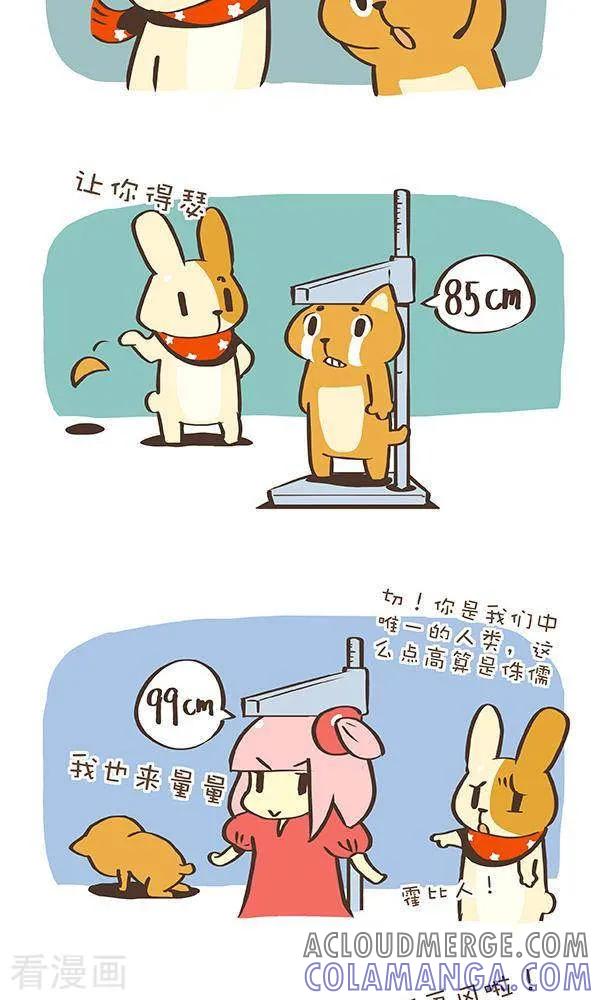 八十一话高度-抖抖村-ddm大王（第3张）