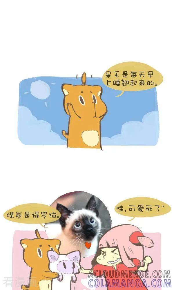 八十二话原型-抖抖村-ddm大王（第2张）